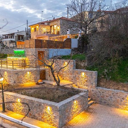 Lasithi Luxury Villa Mesa Lasithi Экстерьер фото
