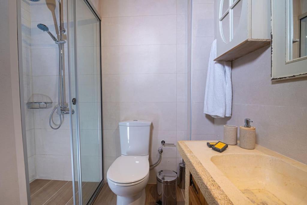 Lasithi Luxury Villa Mesa Lasithi Экстерьер фото